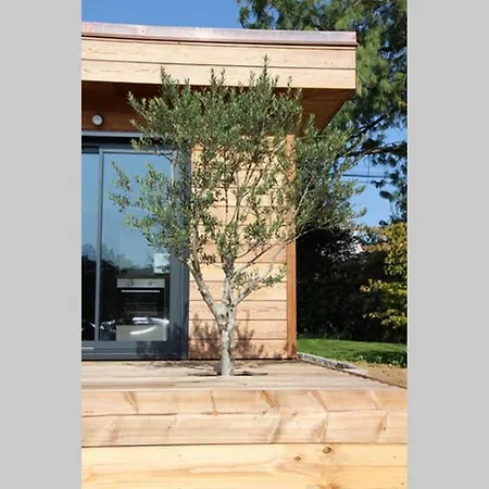 Comme Au Jardin *